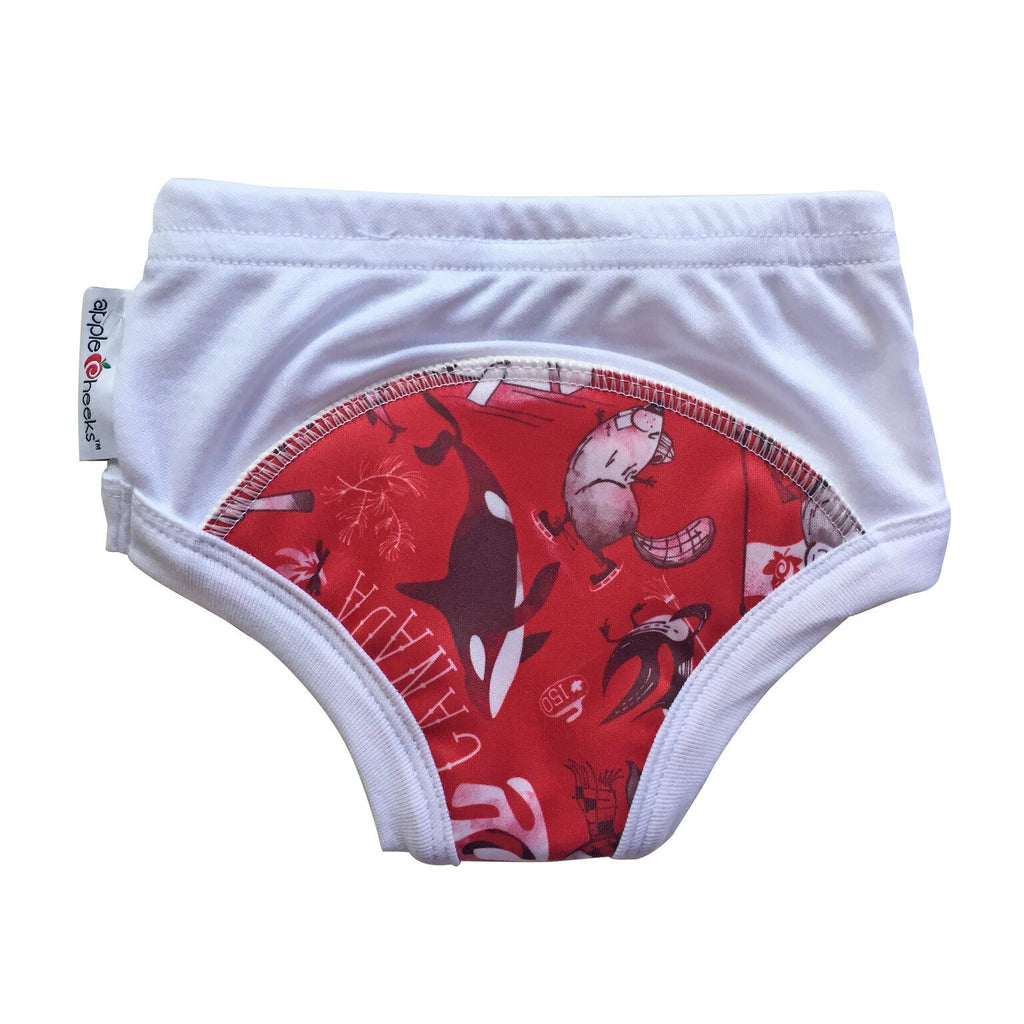 *NEW AppleCheeks Bamboo Training pants